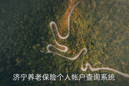 濟寧養(yǎng)老保險個人帳戶查詢系統(tǒng)