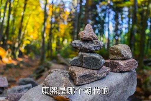 清朝康熙，中國(guó)清朝康熙皇帝歷史