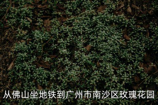 從佛山坐地鐵到廣州市南沙區玫瑰花園