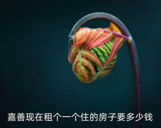 嘉善靠近上海市界的房價租價，嘉善房子好出租嗎啥價