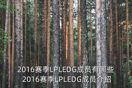 2016賽季LPLEDG成員有哪些 2016賽季LPLEDG成員介紹
