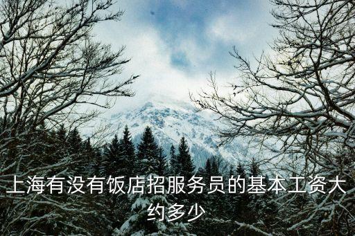 上海市餐飲服務(wù)員招聘，在上海閔行區(qū)有哪些餐飲招服務(wù)員領(lǐng)班
