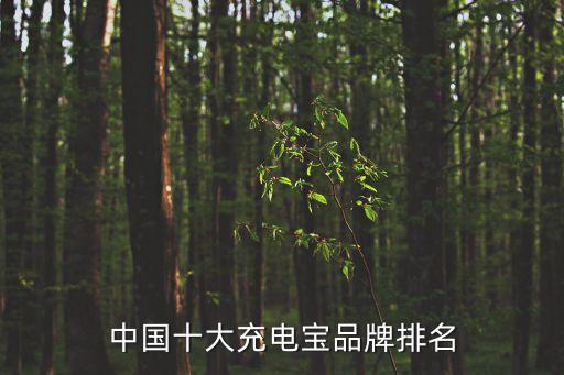充電寶前十名，移動充電寶的排行榜前三名是哪三個