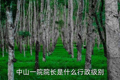 廣州三甲分醫(yī)院院長行政級別，中山一院院長是什么行政級別