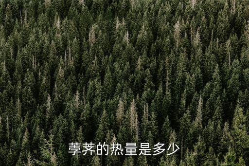 荸薺熱量，荸薺的熱量是多少