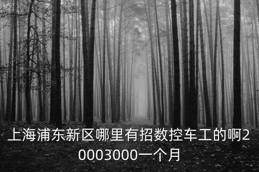 上海市數控車床調試招聘，上海浦東新區哪里有招數控車工的啊20003000一個月