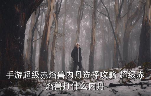 超級赤焰獸，夢幻西游赤炎獸技能