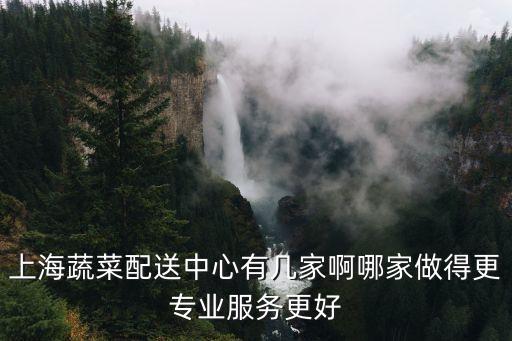 上海蔬菜配送中心有幾家啊哪家做得更專業服務更好