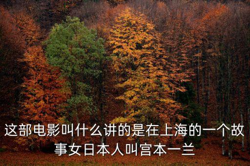這部電影叫什么講的是在上海的一個(gè)故事女日本人叫宮本一蘭