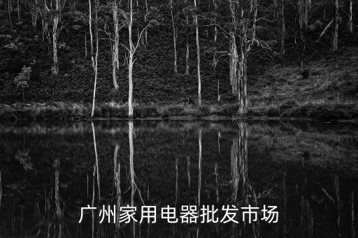 廣州市眾智家用電器，大學(xué)新生要來校了哪里有很便宜的排插可以批發(fā)我想賺一筆本人
