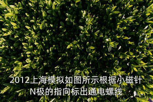 2012上海模擬如圖所示根據小磁針N極的指向標出通電螺線