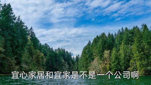 宜心家居和宜家是不是一個公司啊