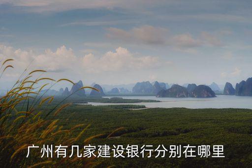 建行廣州分行有哪些支行，建設銀行在廣州有多少個網點和分理處啊