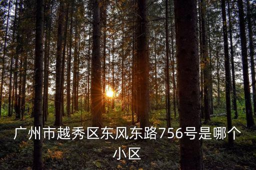 廣州黃花崗區(qū)有幾個(gè)小學(xué)，廣州市越秀區(qū)東風(fēng)東路756號(hào)是哪個(gè)小區(qū)