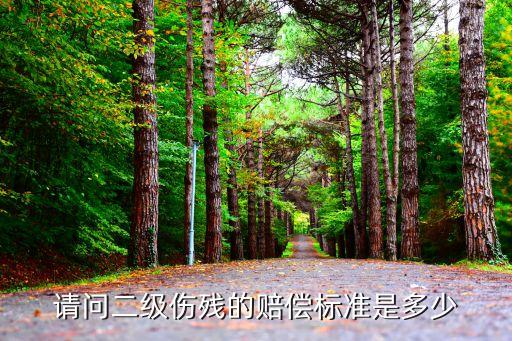二級殘疾標準，多高算二級殘廢