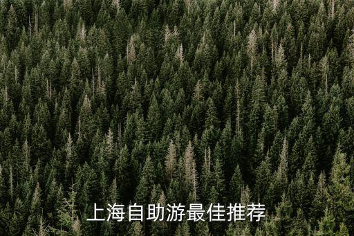 上海市內自助游，上海自助游