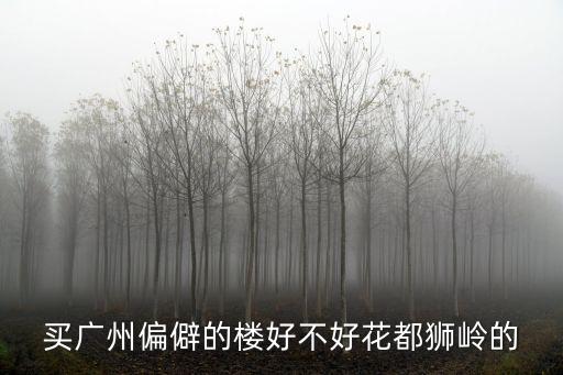 廣州嶺地金居值得買嗎，買廣州偏僻的樓好不好花都獅嶺的