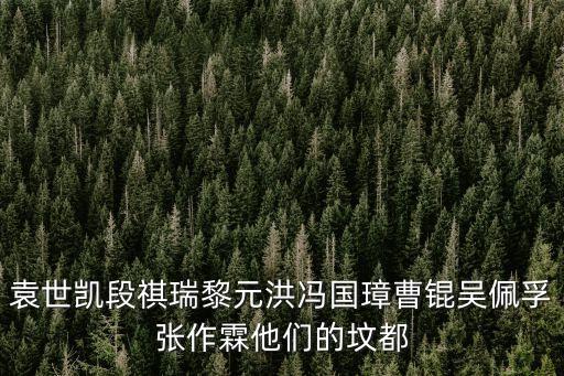 袁世凱段祺瑞黎元洪馮國璋曹錕吳佩孚張作霖他們的墳都