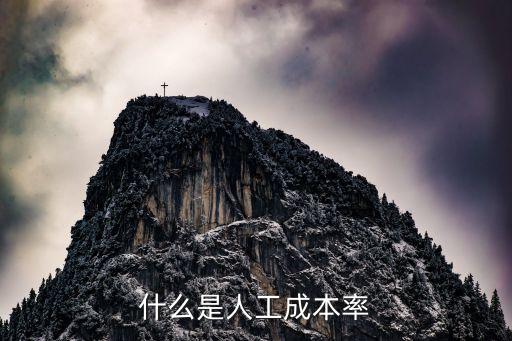 什么是人工成本率