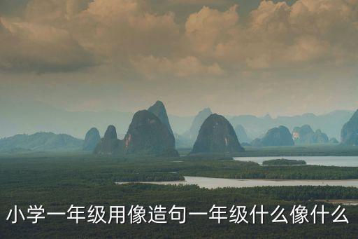 小學一年級用像造句一年級什么像什么