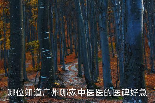 廣州好的中醫館推薦，廣州市中醫那家較好