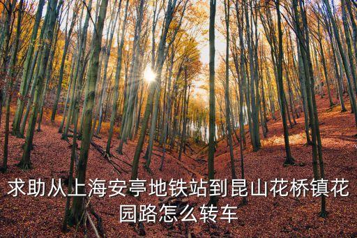 求助從上海安亭地鐵站到昆山花橋鎮(zhèn)花園路怎么轉(zhuǎn)車