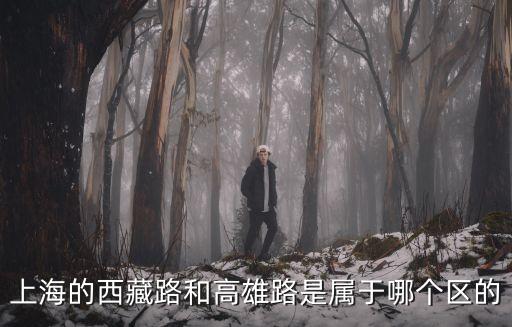 上海的西藏路和高雄路是屬于哪個(gè)區(qū)的