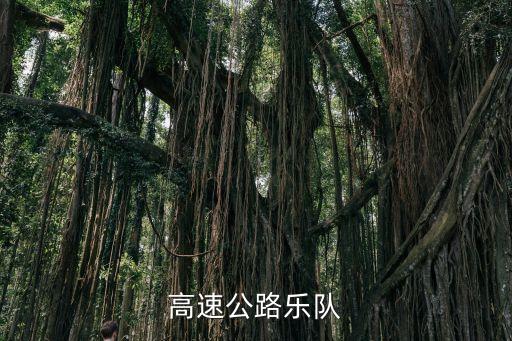 高速公路樂隊，高速公路樂隊有哪些歌呢 求答案