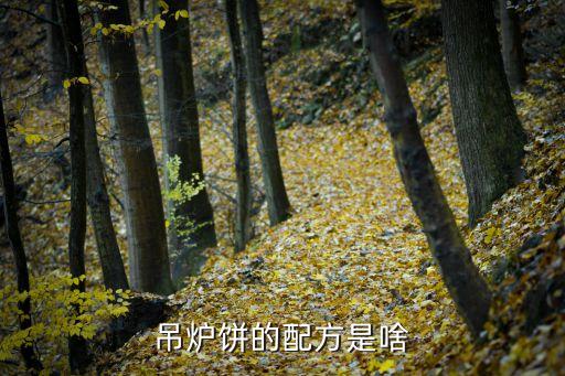 吊爐餅的做法，沈陽的吊爐餅怎么做具體點最后本人會的