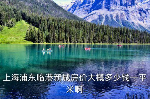 上海市臨港新片區房價均價，臨港新城老蘆公路江山路樓盤現在新房房價是多少錢一個平方