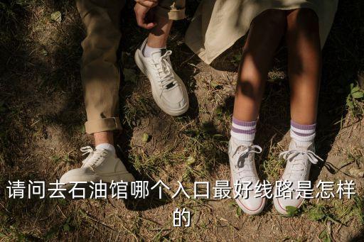 請問去石油館哪個入口最好線路是怎樣的