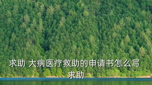 求助 大病醫(yī)療救助的申請(qǐng)書怎么寫 求助