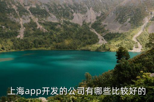 上海市制作app，上海app開發的公司有哪些比較好的