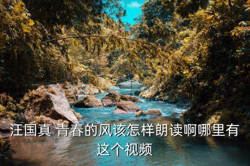 青春的風，汪國真 青春的風該怎樣朗讀啊哪里有這個視頻