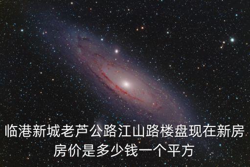 臨港新城老蘆公路江山路樓盤現(xiàn)在新房房價是多少錢一個平方