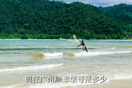 順豐快遞廣州發(fā)貨單號，現在廣州順豐單號是多少