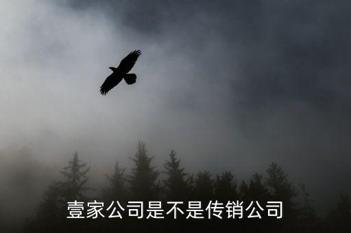 廣州壹家互聯(lián)網(wǎng)科技有限公司，壹家公司是不是傳銷公司