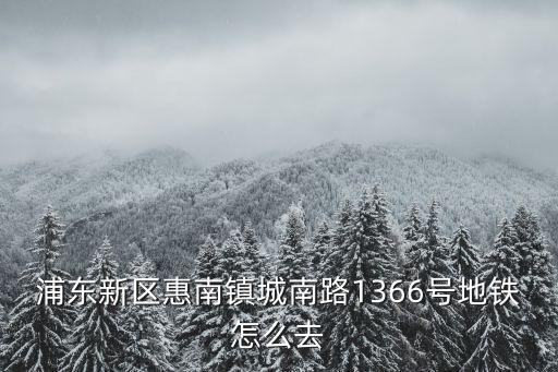 浦東新區惠南鎮城南路1366號地鐵怎么去