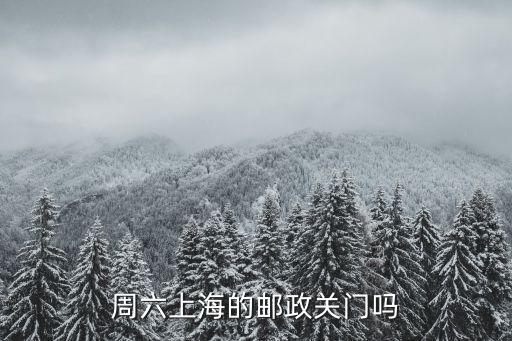 上海市嘉民郵件處理中心處理中心周末上班嗎，周六上海的郵政關(guān)門嗎