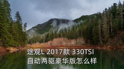途觀L 2017款 330TSI 自動兩驅豪華版怎么樣