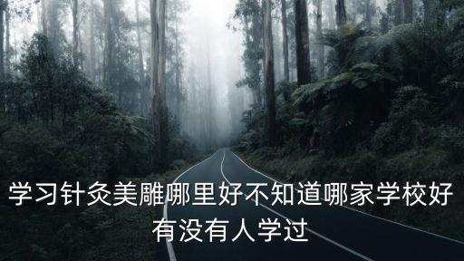 學習針灸美雕哪里好不知道哪家學校好有沒有人學過