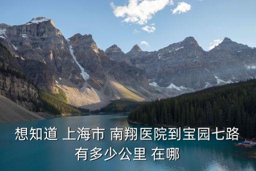 上海市嘉定區南翔醫院地址，南翔醫院在南翔哪條街