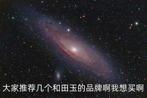 大家推薦幾個和田玉的品牌啊我想買啊