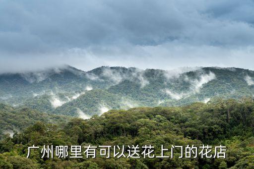 廣州哪里有可以送花上門的花店