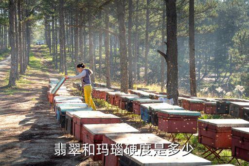 瑪瑙硬度，翡翠和瑪瑙硬度是多少