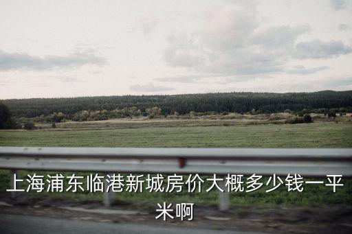 上海浦東臨港新城房?jī)r(jià)大概多少錢一平米啊
