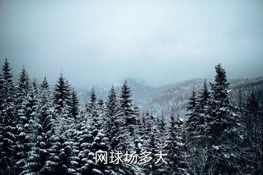 標準網球場尺寸，網球場有多長多寬