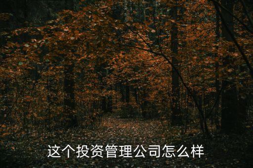 這個(gè)投資管理公司怎么樣