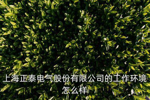 上海市正泰電氣，上海正泰電氣有限公司怎么樣啊待遇好嗎我明天要去面試很急