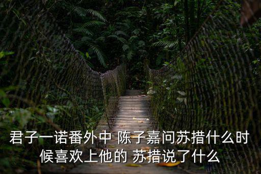 君子一諾，君子一諾是什么意思有沒有知道的現在有沒有這方面的君子  搜